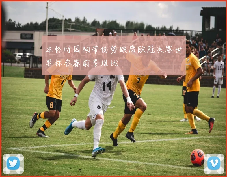 本怀特因韧带伤势缺席欧冠决赛世界杯参赛前景堪忧