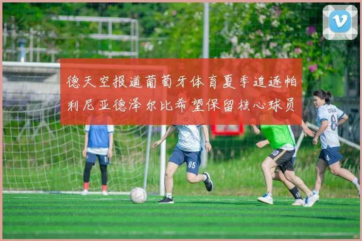 德天空报道葡萄牙体育夏季追逐帕利尼亚德泽尔比希望保留核心球员